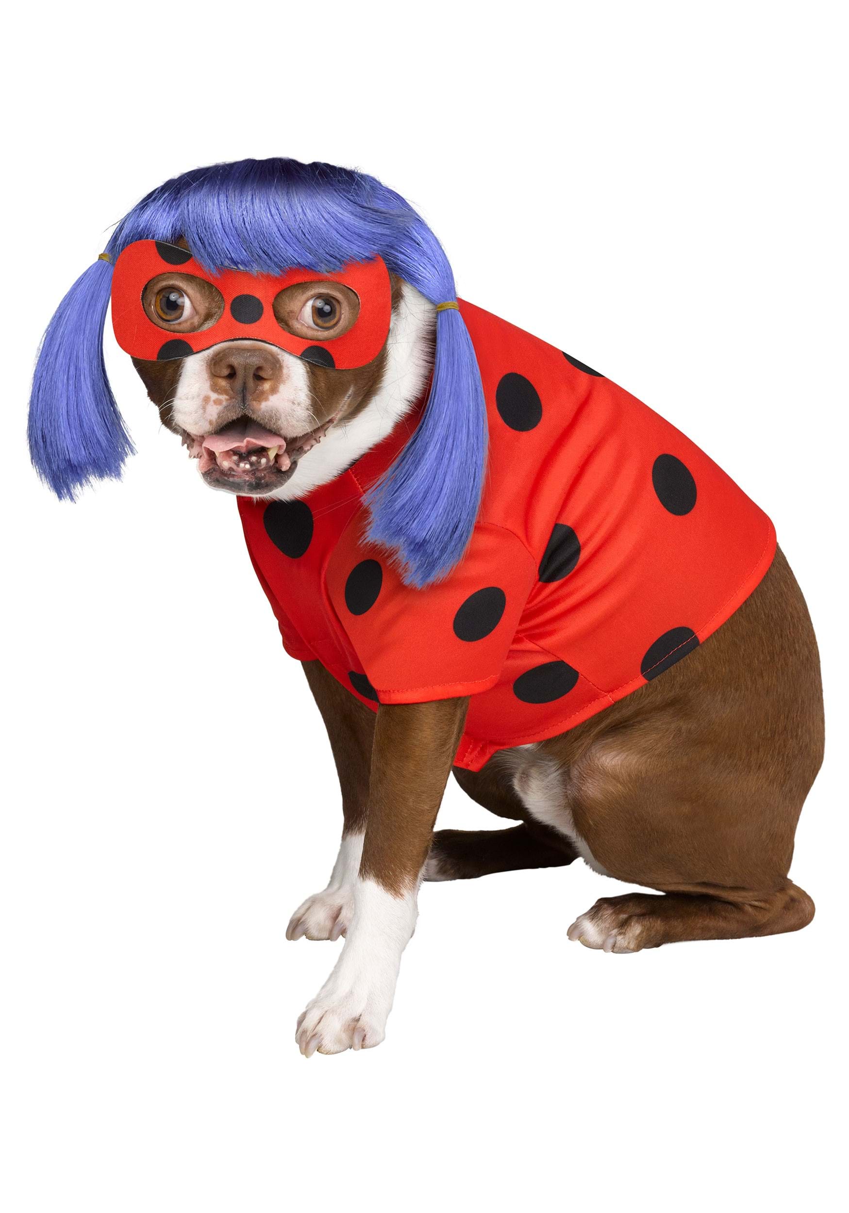 Pet Miraculous Ladybug Fancy Dress Costume