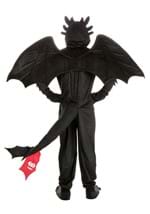 Adult How to Train Your Dragon Toothless Costume Alt 7