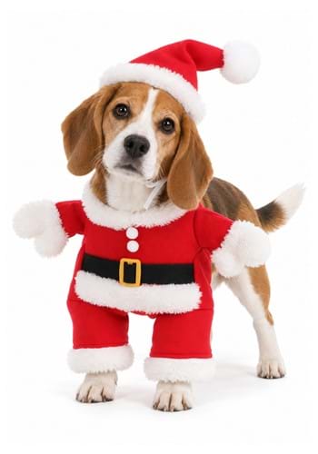 Christmas Santa Pet Costume upd