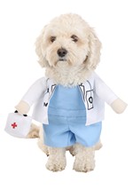 Pet Doctor Costume Alt 3