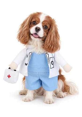 Pet Doctor Costume upd