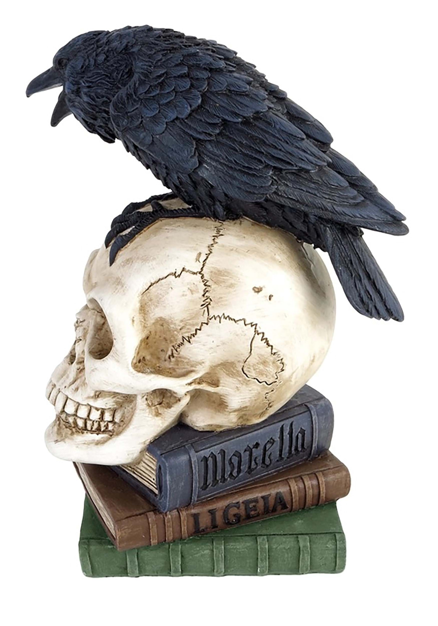 8 Inch Poe's Raven Skull Decoration