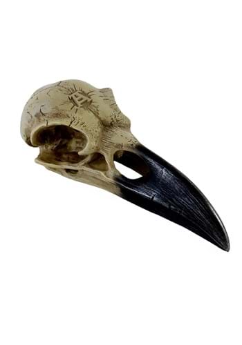 6 Inch Corvus Alchemia Skull