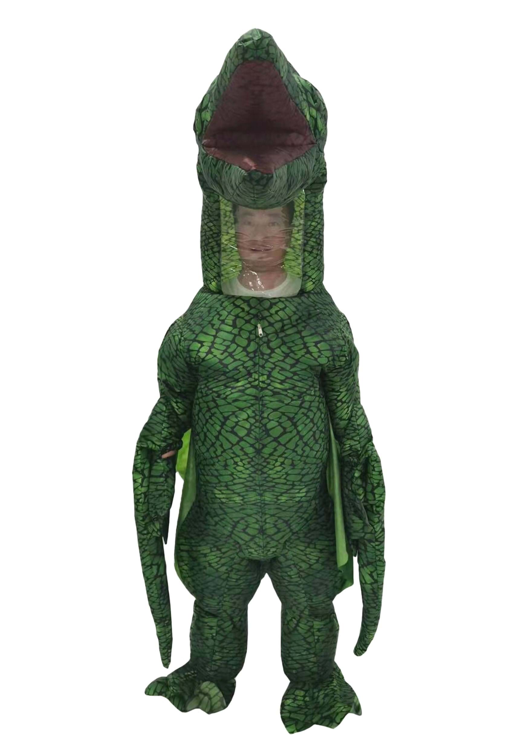 Inflatable Dinosaur Pterodactyl Adult Fancy Dress Costume