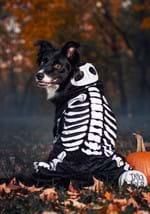 Skeleton Pet Costume Alt 3
