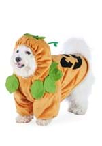 Pumpkin Pet Costume Alt 3