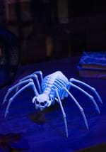 13.6" Black Light Ghostly Spooky Spider Skeleton Alt 1