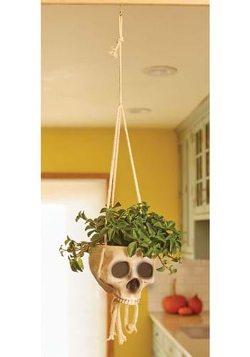 Hanging Skull Bone Color Planter