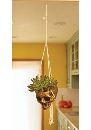 Gold Color Hanging Skull Planter