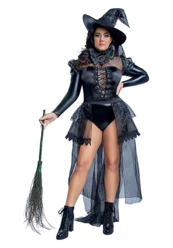 Plus Size Wicked Witch Fancy Dress Costume For Women's , Sexy Witch Fancy Dress Costumes