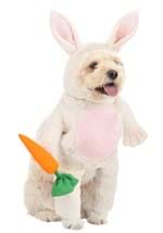 Fluffy Bunny Dog Costume Alt 1