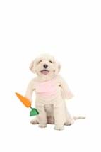 Fluffy Bunny Dog Costume Alt 2