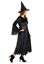 Adult Classic Wicked Witch Costume Alt 2