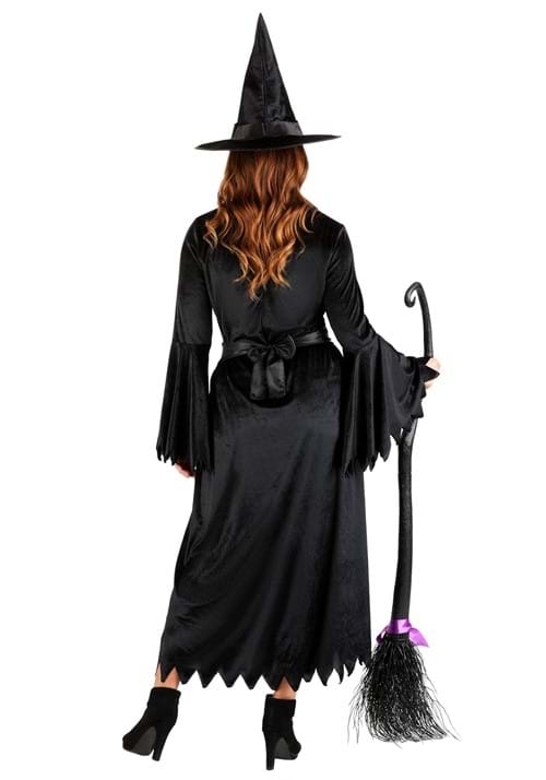 Adult Women's Wicked Witch  Costume main image 0