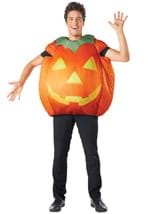 Adult Fall Pumpkin Costume Alt 1