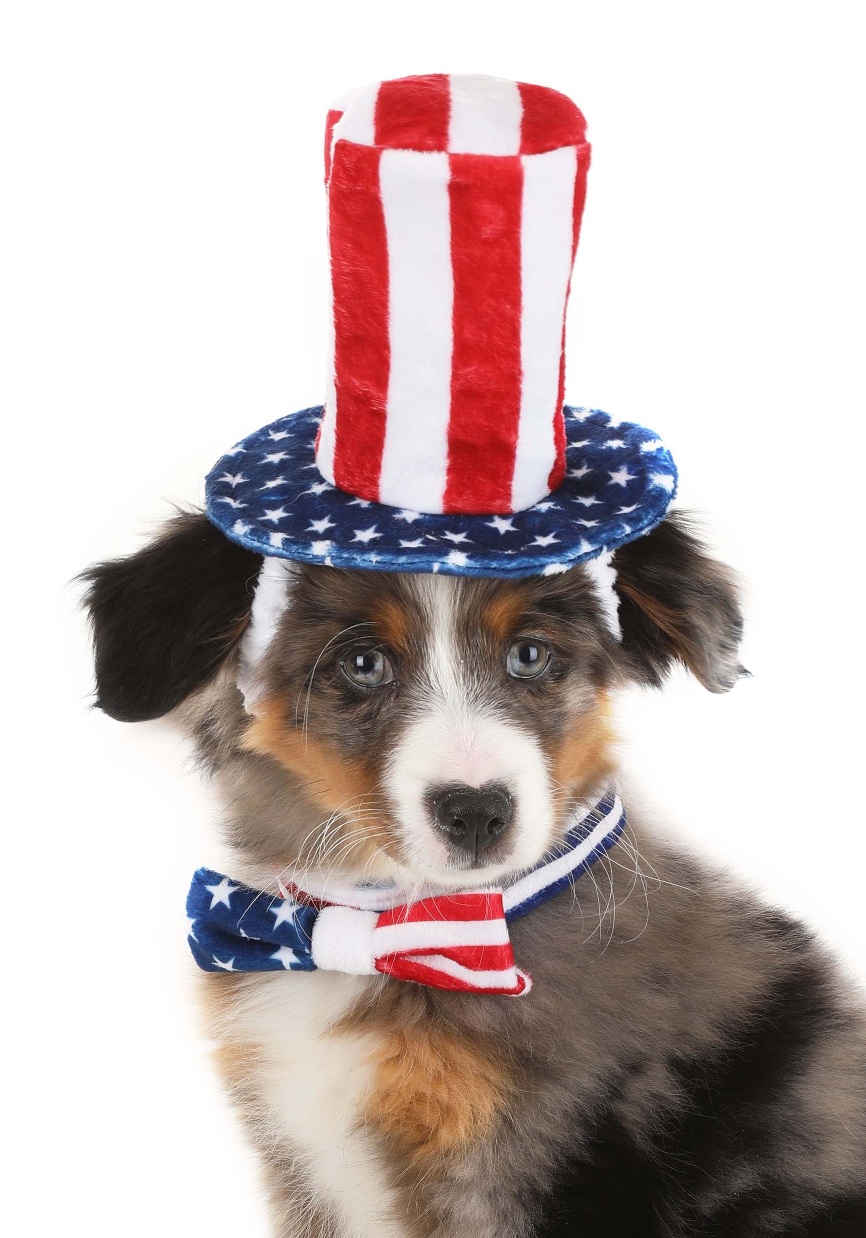 4th Of July Fancy Dress Costume Kit For Pets , 4th Of July Fancy Dress Costumes