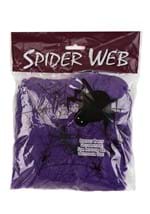 Purple Spider Web Decoration Alt 1
