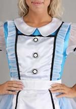 Adult Classic Alice Costume Alt 2