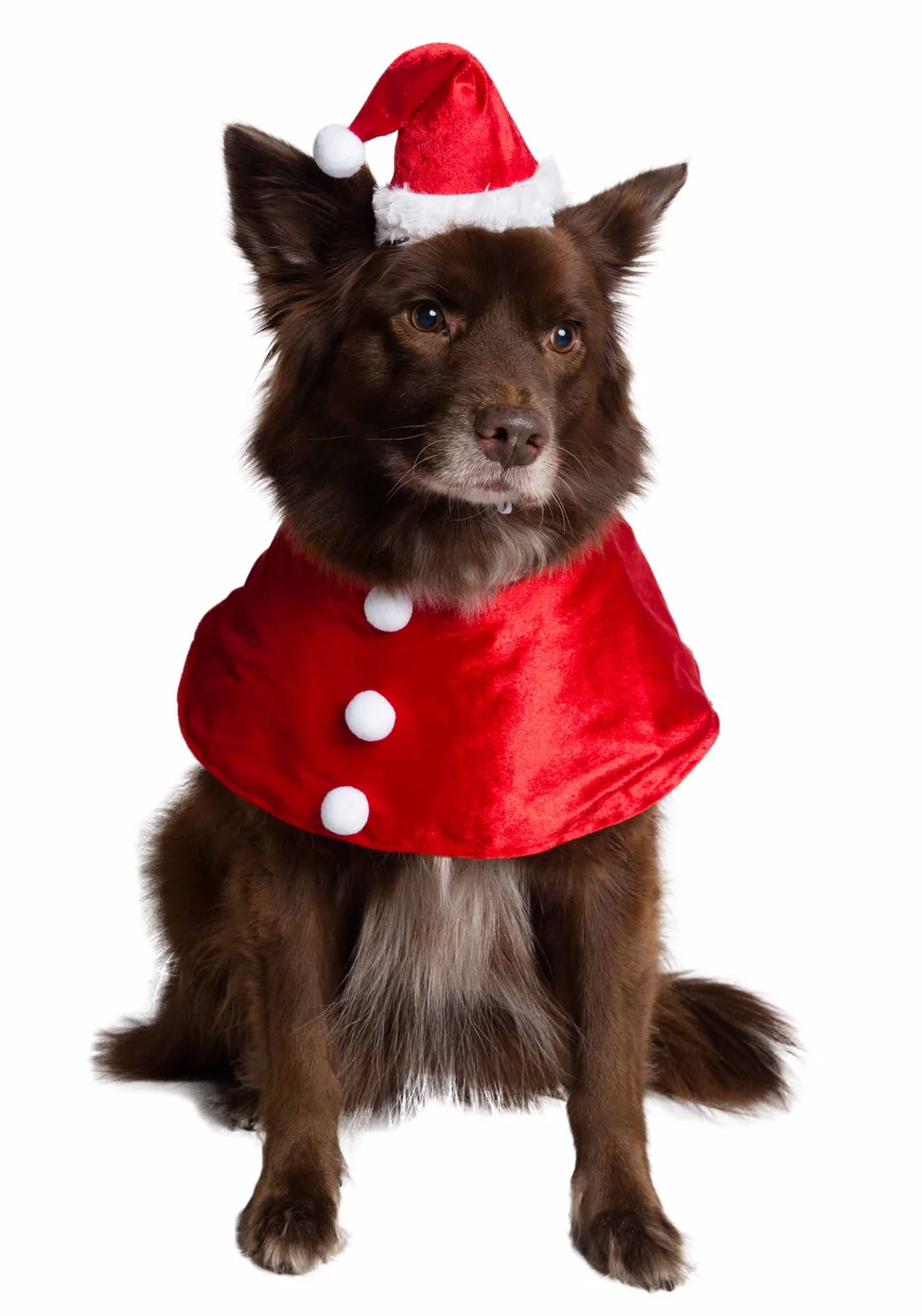 Santa Pet Fancy Dress Costume Collar & Hat