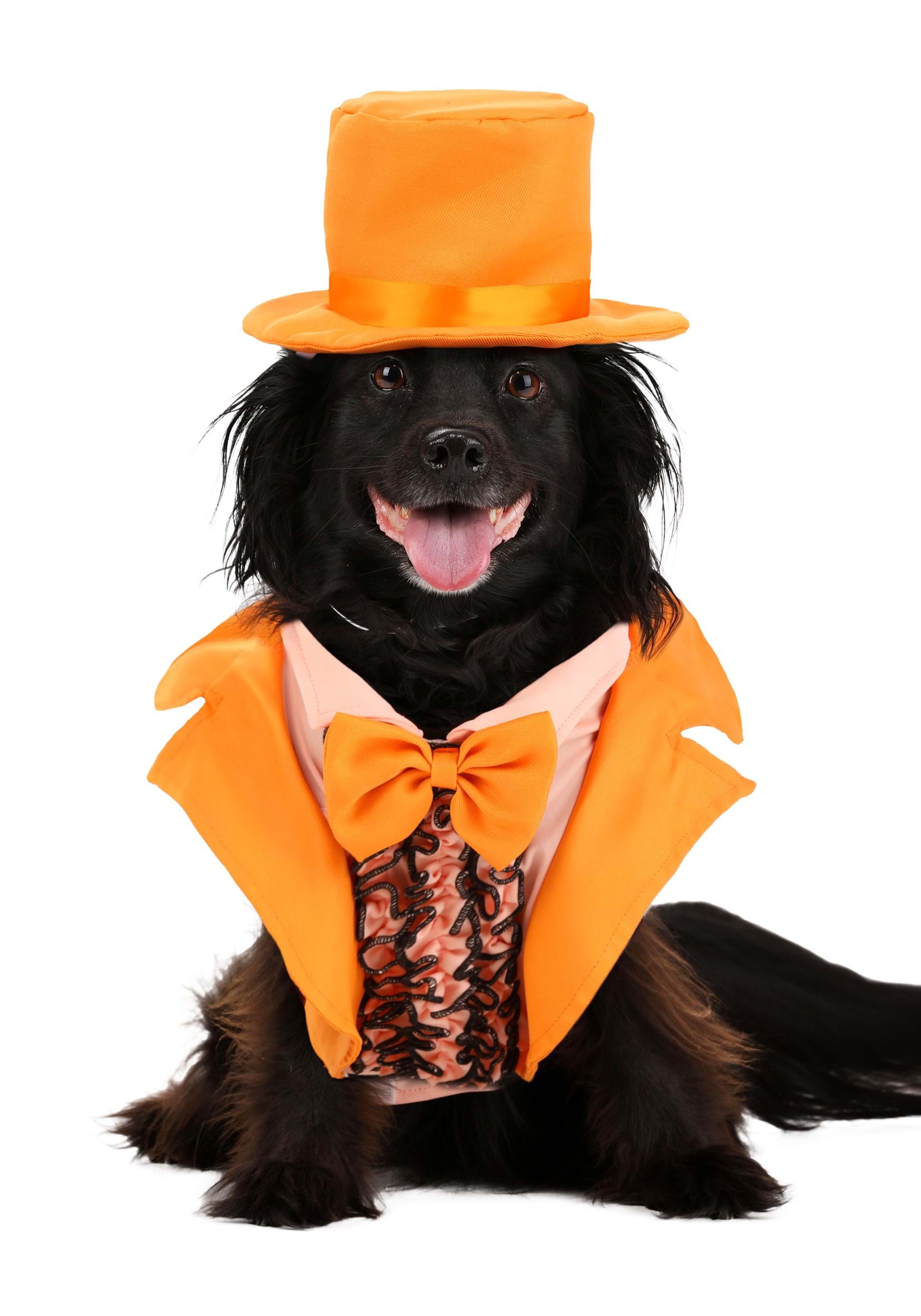 Iconic Pet Orange Tuxedo Fancy Dress Costume | Movie Pet Fancy Dress Costumes