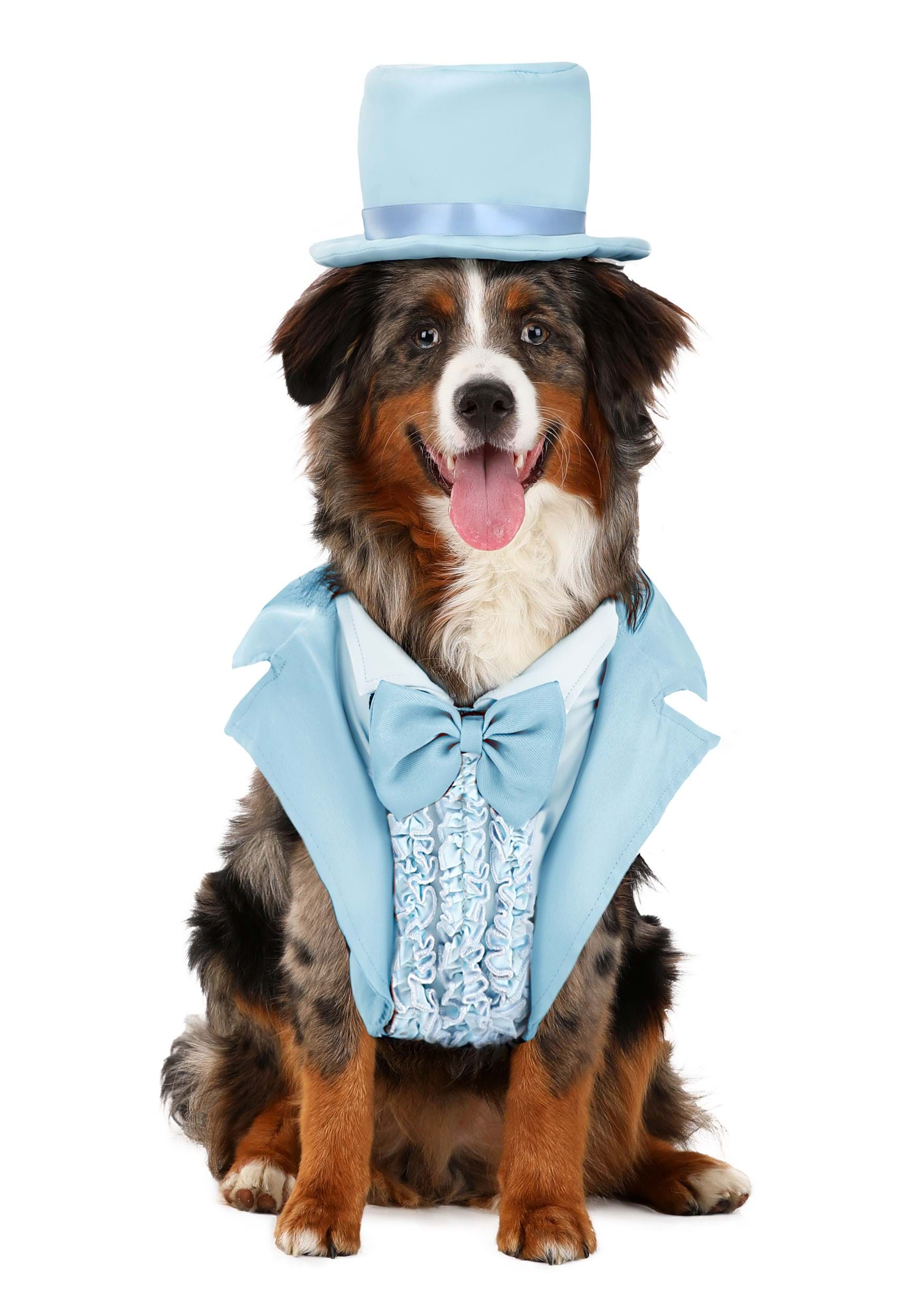 Iconic Pet Light Blue Tuxedo Fancy Dress Costume | Movie Pet Fancy Dress Costumes