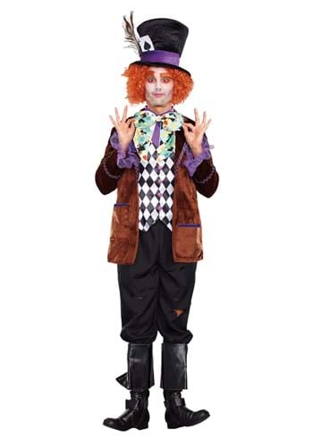 Plus Size Hatter Madness Costume