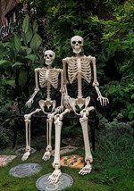 74" Skeleton Alt 5