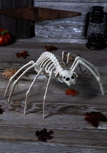 20 Inch Spider Skeleton Decoration