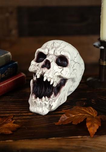 Resin Skull with Sharp Teeth