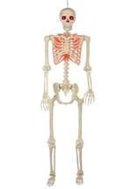 5ft Poseable Red Light Up Face & Chest Skeleton Alt 3