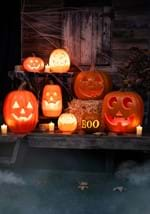 16" Realistic Light Up Pumpkin Alt 1