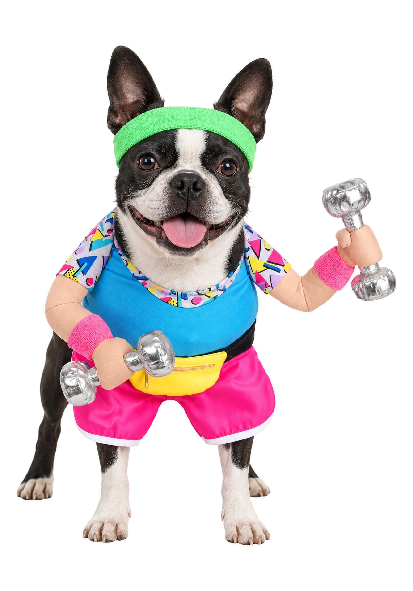 1980s Work Out Pet Fancy Dress Costume | Halloween Pet Fancy Dress Costumes