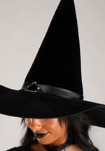 Adult Dark Enchantress Witch Costume Alt 3