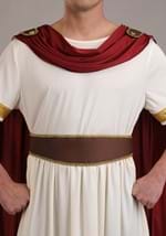 Adult Roman Emperor Costume Alt 4