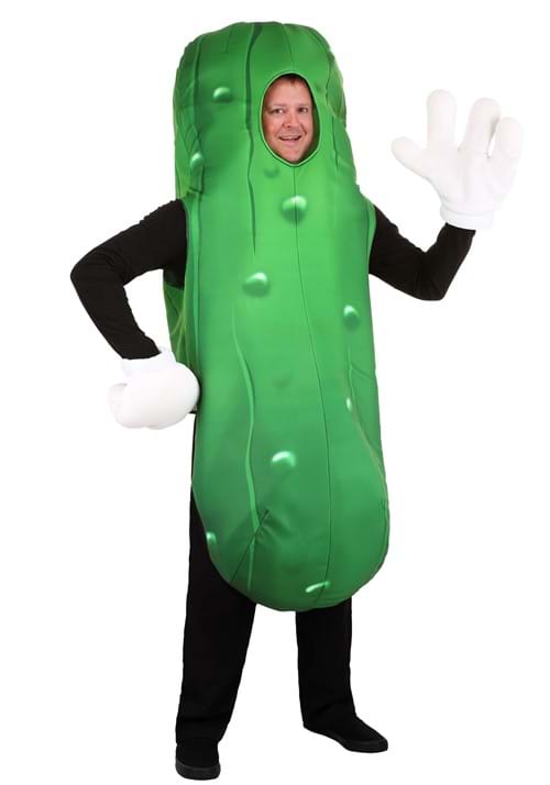 Plus Size Pickle Costume