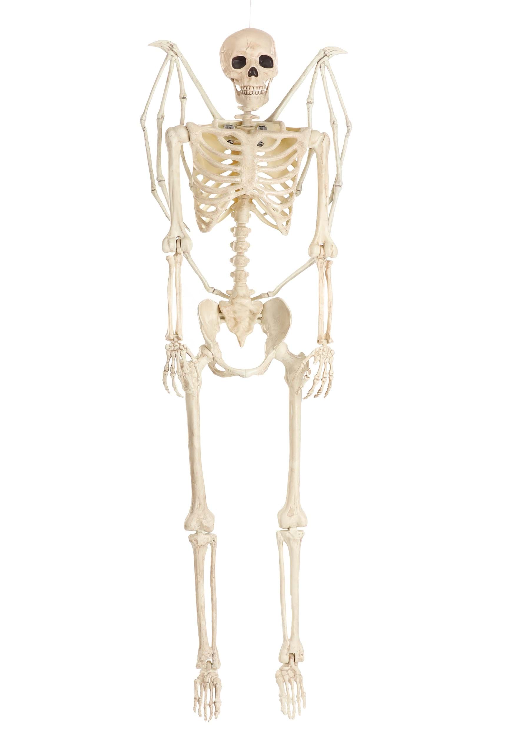 5FT Poseable Winged Skeleton Prop Decoration | Poseable Skeletons