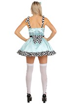 Adult Deluxe Punky Alice Costume Alt 4
