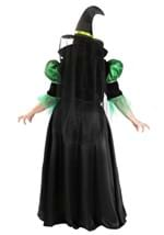 Adult Enchanted Green Witch Costume Alt 5