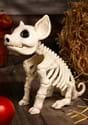 Seated Pig Skeleton Decoration