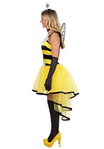 Adult Queen Bee Costume Dress Alt 6