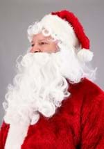Plus Size Regal Santa Claus Costume Alt 4