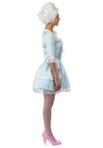 Adult Sexy Marie Antoinette Costume Dress Alt 8