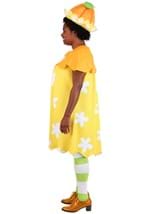 Plus Size Orange Blossom Strawberry Shortcake Costume Alt 2