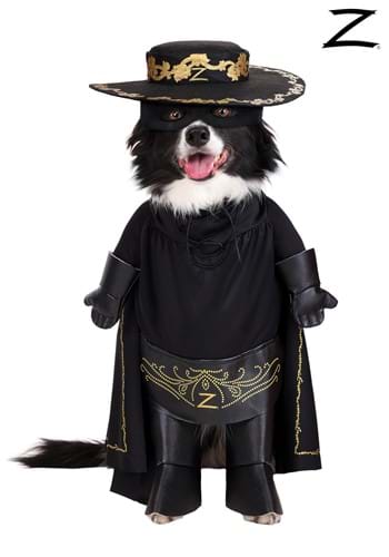 Zorro Pet Costume