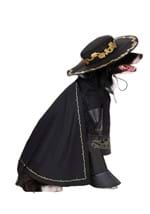 Zorro Pet Costume Alt 2