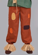 Plus Size Premium Wizard of Oz Scarecrow Costume Alt 8