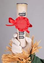 Plus Size Premium Wizard of Oz Scarecrow Costume Alt 7