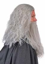 Mens Lord of the Rings Gandalf Costume Wig Beard Alt 3