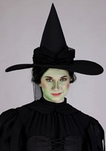 Adult Premium Wizard of Oz Wicked Witch Costume Alt 4