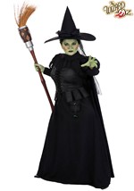 Plus Size Premium Wizard of Oz Wicked Witch Costume